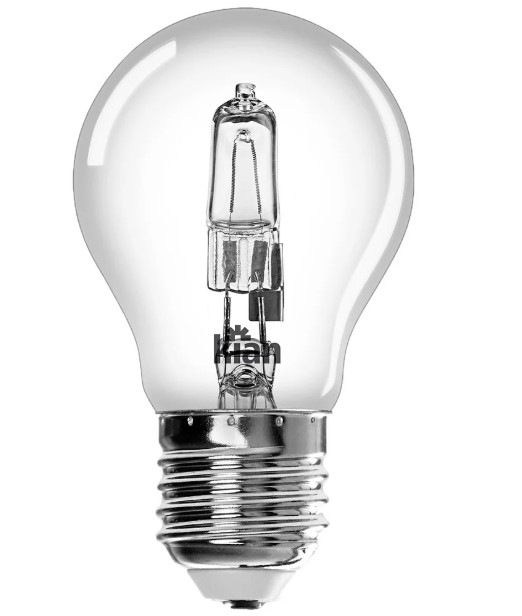LAMP INC ECOLOGENA 100W 220V